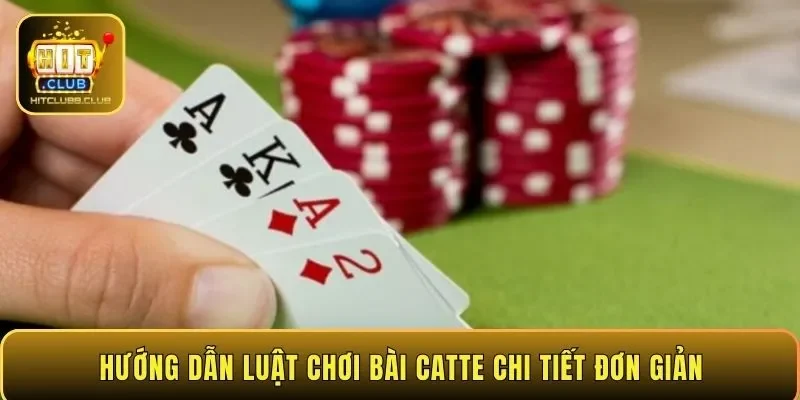 Hướng dẫn luật chơi bài Catte chi tiết đơn giản
